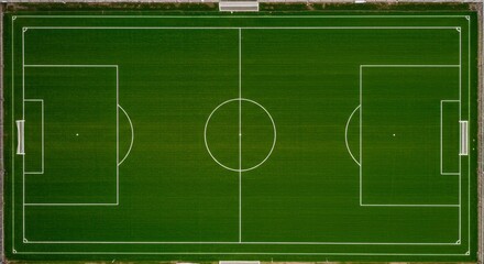 Obraz premium soccer field with green grass