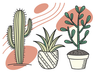 Cactus & Desert Plant Illustration Set – Modern Botanical Art with Abstract Backgrounds