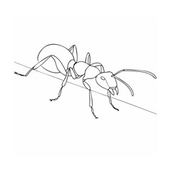 Detailed black line drawing of an ant perched on a thin straight line isolated
