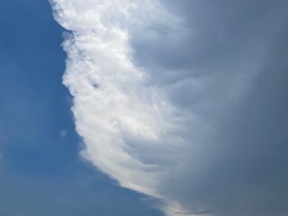 Beautiful round clouds after the rain, under a gloomy sky, big, Soft, round clouds floating in the moody sky 