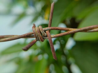 rusty barbed wire