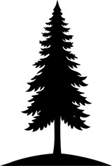 Deodar in nature scene silhouette