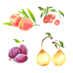 Isolated watercolor fruit set on a transparent background: peach, cherry, plum, pear