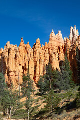 Naklejka premium Bryce canyon