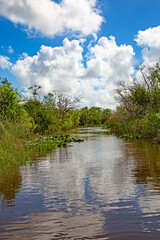 Everglades