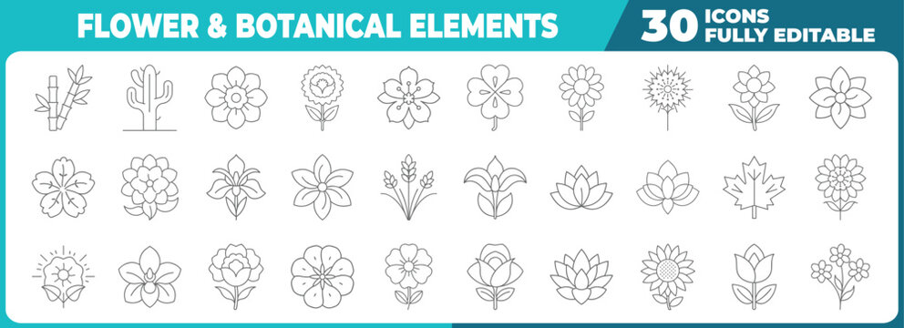 Collection of 30 flower and botanical element  Modern thin line icons set for design projects