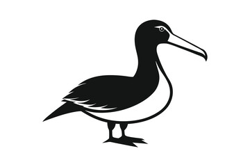 Albatross bird silhouette vector illustration on white background