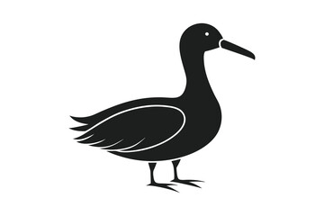 Albatross bird silhouette vector illustration on white background