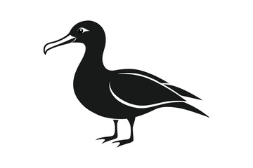 Albatross silhouette on white background