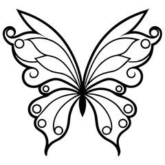 Baroque-Style Butterfly Wings Forming a Damask Symmetry