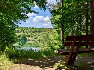 Partial view of bench by the lake in green forest