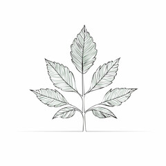 Elegant Line Art Botanical Leaves Minimalist Village Plant Illustration