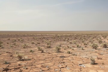 Arid Landscape with Deep Cracks and Sparse Vegetation