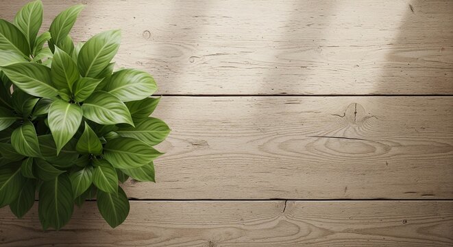 Design naturel