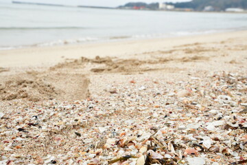増穂浦海岸（石川県）