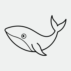 shark vector illustration