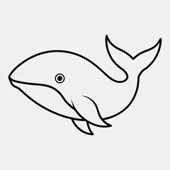 shark vector illustration