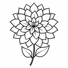 black and white flowers