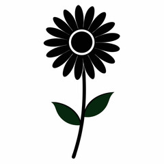 Fototapeta premium yellow flower on white background