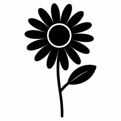 sunflower isolated on white background