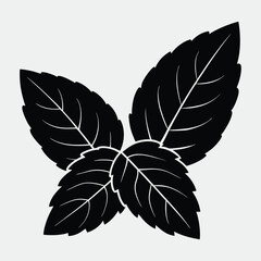vector leaf icon