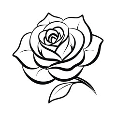 Rose vector art illustration.  high quality black flowers macro isolated on white. Greeting card objects for anniversary, wedding, mothers and womens day design.