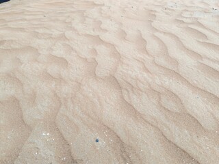 Desert Sand Ripples, Sand Ripples On Beach. Beautiful Ripples Background Due To Wind On Desert And Due To Water Shore On Beach. Desert Sand Ripples Waves Of Wind,.
Brown Sandy environment landscape.