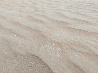 Desert Sand Ripples, Sand Ripples On Beach. Beautiful Ripples Background Due To Wind On Desert And Due To Water Shore On Beach. Desert Sand Ripples Waves Of Wind,.
Brown Sandy environment landscape.