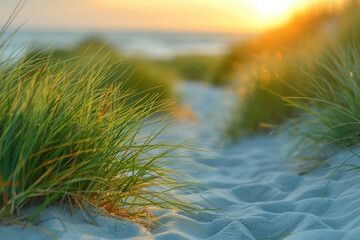 Whispers of the Shore: Beach Grasses on Serene Sands