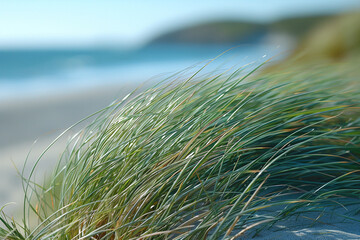 Whispers of the Shore: Beach Grasses on Serene Sands