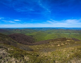 View from Połonina Carycka towards the Bieszczady Mountains, covered with forests, the region in Europe with the lowest population density.