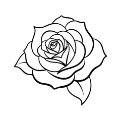 Rose vector art illustration.  high quality black flowers macro isolated on white. Greeting card objects for anniversary, wedding, mothers and womens day design.