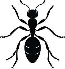 Black silhouette of an ant with detailed legs and antennae on white
