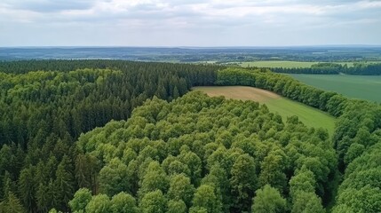 Obraz premium landscape , trees