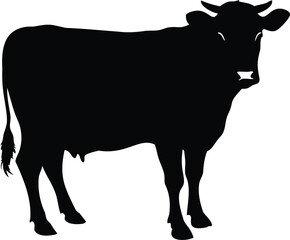 Silhouette of a dairy cow standing isolated on a white background