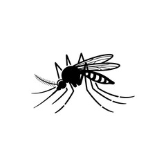 Black Mosquito Insect: A detailed image of a mosquito with intricate features, showcasing the insect's structure and form, against a plain background.