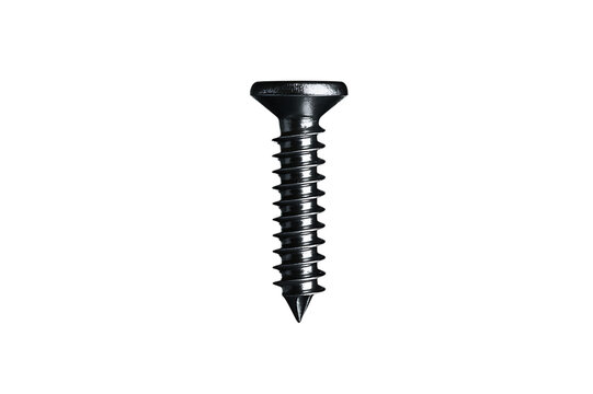 Close up photograph of a single black screw for carpentry or construction usage.