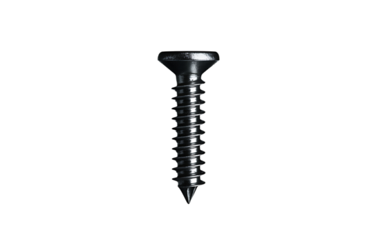 Close up photograph of a single black screw for carpentry or construction usage.