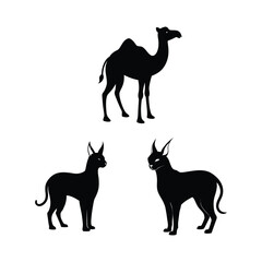 vector illustration of a camel