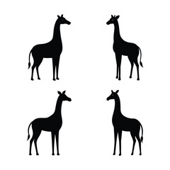 set of silhouettes of giraffe