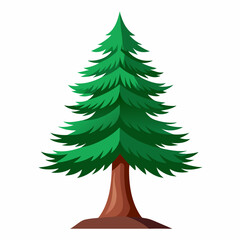 Fototapeta premium christmas tree isolated on white