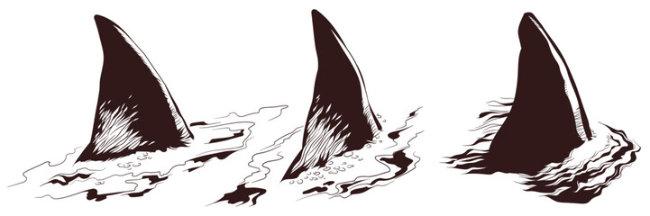 Shark fin above water.