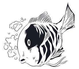 Sketch of exotic fish.