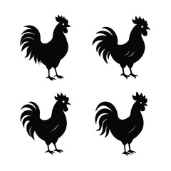 vector illustration of a rooster