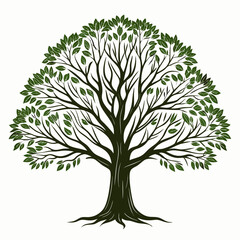 Fototapeta premium green tree isolated on white