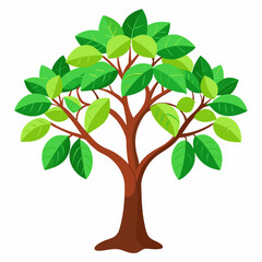 Obraz premium green tree isolated