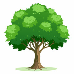 green tree isolated on white