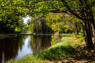 Salmon river landscape in a beautiful summer day.
Swedish river and natural area in summer