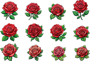 set of realistic red roses vector illustration