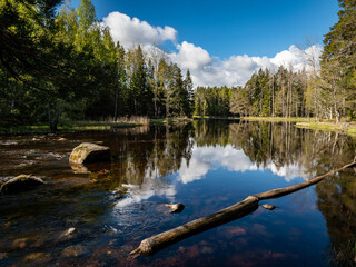 Salmon river landscape in a beautiful summer day.
Swedish river and natural area in summer